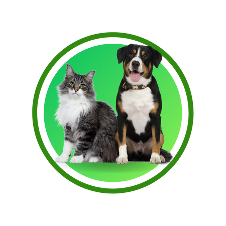 Mascotas